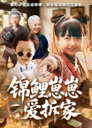 锦鲤崽崽爱拆家（80集）每天分享短剧