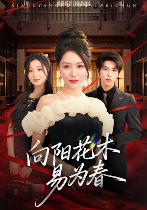 新：向阳花木易为春（72集）精彩短剧看不停