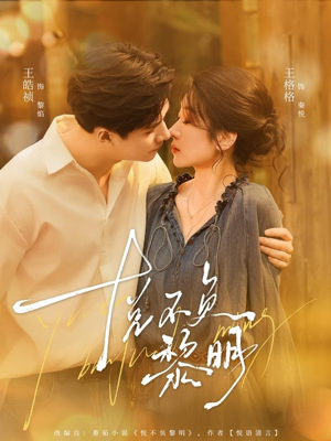 悦不负黎明（61集）经典老剧免费看