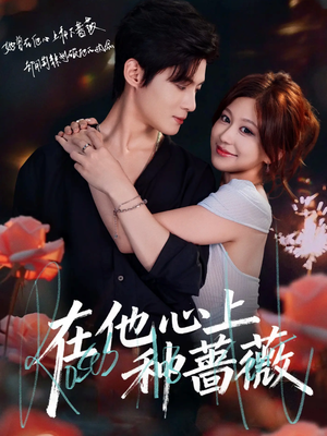 在他心上种蔷薇（81集）短剧有好货推荐