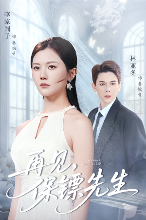 再见保镖先生（51集）完整版