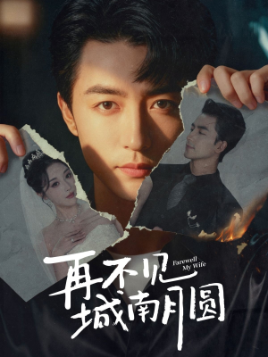 再不见城南月圆（60集）免费观看