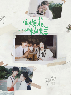 像烟花一样灿烂(60集) 像烟花一样灿烂(60集)全剧看到大结局