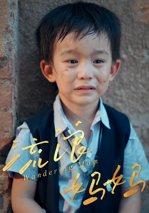 流浪妈妈（30集）新短剧推荐