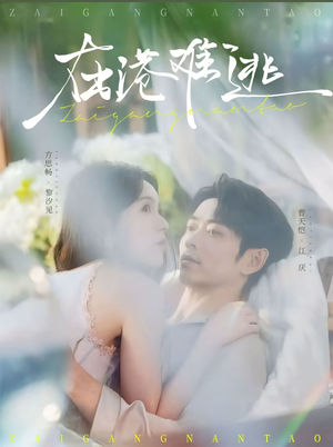 在港难逃（75集）哪个网站可以看