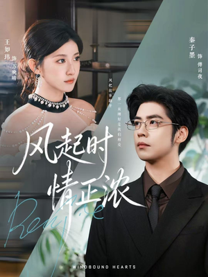 风起时情正浓（79集）全集免费观看