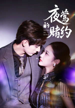 夜莺的赌约（71集）爆款短剧追不停