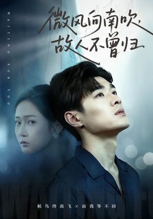 微风向南吹，故人不曾归（72集）抢先看热门短剧