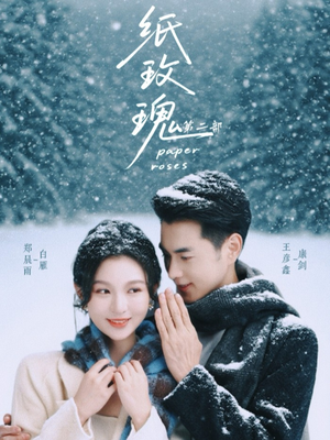 纸玫瑰第二部（80集）好看短剧分享