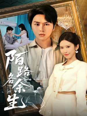 陌路各余生（65集）短剧太好看了