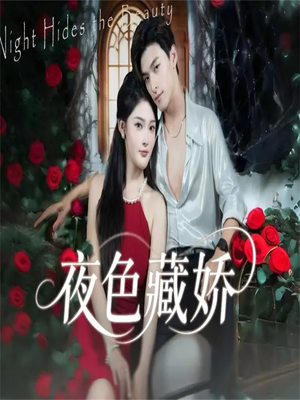 夜色藏娇（65集）追短剧看全集