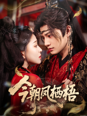今朝凤栖梧（68集）甜宠短剧推荐