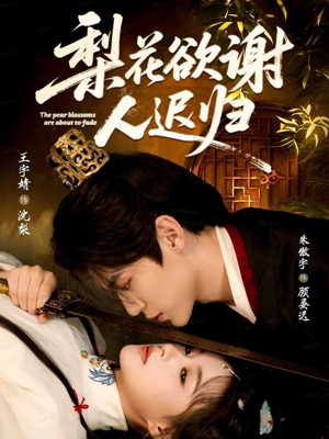 梨花欲谢人迟归（60集）简直不要太好看