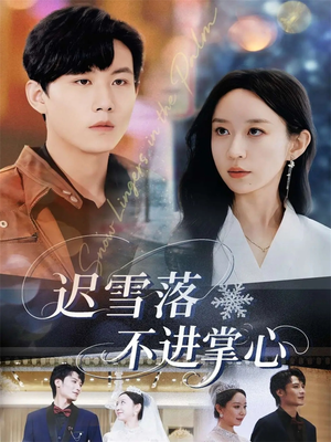 迟雪落不进掌心（79集）热播短剧推荐