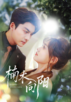 楠木向阳（70集）高清画质免费看