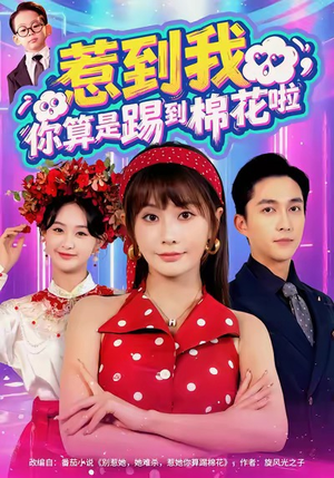 惹到我，你算是踢到棉花啦（67集）甜宠短剧追到爽