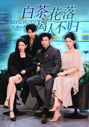 白茶花落离人（51集）推荐你们也去看