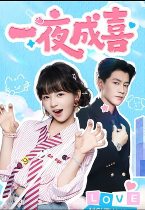 一夜成喜（60集））短剧全集更精彩