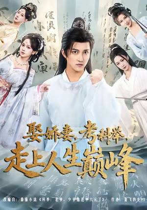 娶娇妻，考科举，走上人生巅峰（80集）在线观看全集