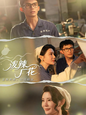 泼辣厂花（68集）海量资源免费看