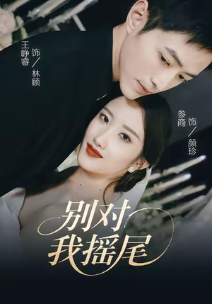 别对我摇尾（59集）免费版