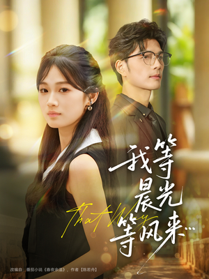 我等晨光等风来（70集）全集免费