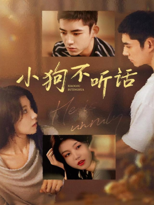 小狗不听话(70集) 小狗不听话(70集)超好看的短剧