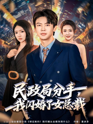 民政局分手，我闪婚了女总裁（72集）精彩短剧下载