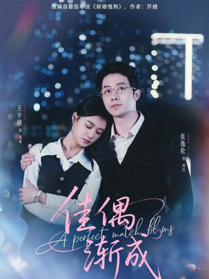 佳偶渐成（71集）追短剧看全集