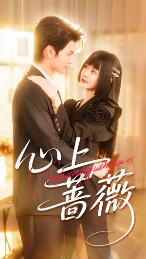 心上蔷薇（100集）怎么看全集