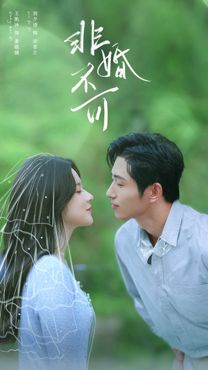 非婚不可(65集) 非婚不可(65集)全部免费看全集