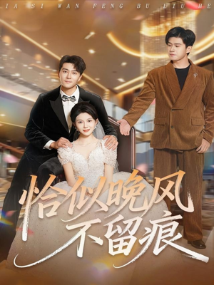 恰似晚风不留痕（61集）免费短剧全集看