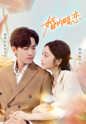 婚内暗恋（80集）无需会员轻松看