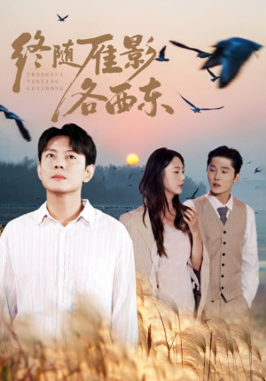 终随雁影各西东（86集）短剧免费看