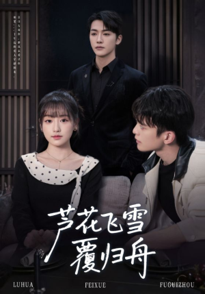 芦花飞雪覆归舟（77集）精彩短剧又来了