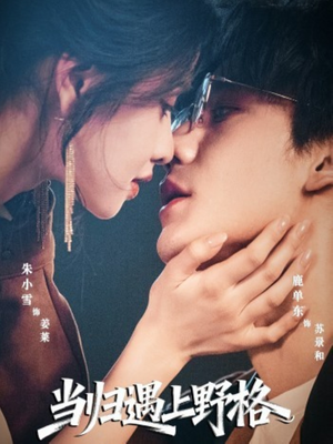 当归遇上野格（66集）高清画质免费看