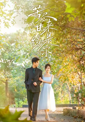 苦尽甘来缘是你(45集) 苦尽甘来缘是你(45集)短剧全集免费