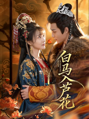 白马入芦花（59集）好看的短剧分享