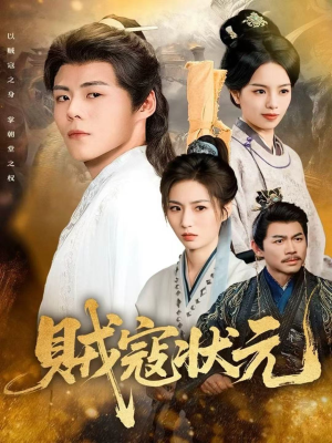 贼寇状元（81集）百度网盘资源