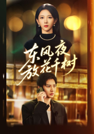 东风夜放花千树（91集）短剧在线更新