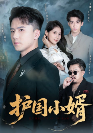 护国小婿（60集）在哪里看