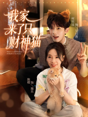 我家来了只财神猫（80集）解说文案