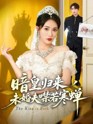 暗皇归来，未婚夫噤若寒蝉（65集）精彩短剧热播