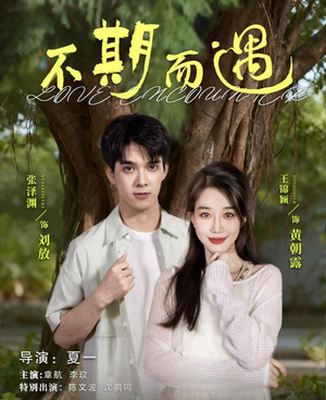 不期而遇（62集）演的怎么样