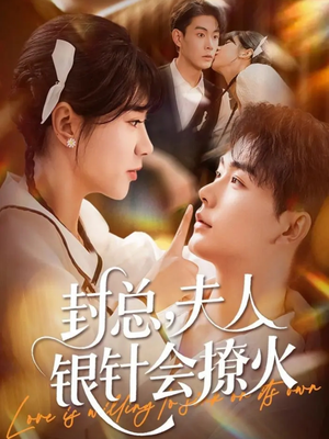 封总，夫人银针会撩火（69集）海量短剧免费看