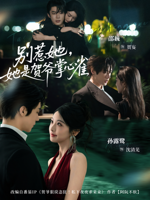 别惹她，她是贺爷掌心雀（69集）精彩短剧片段