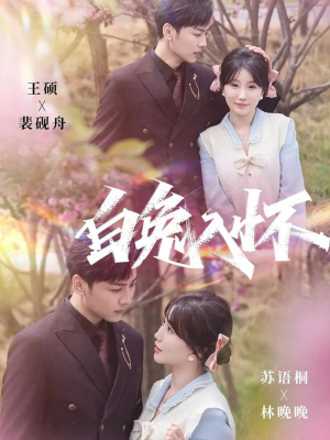 白兔入怀（60集）80到100集