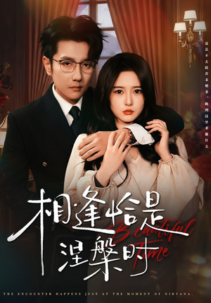 相逢恰是涅槃时（63集）短剧片段分享