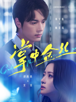 掌中金丝（60集）全集在线看