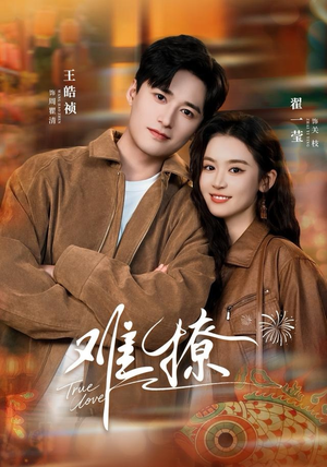 难撩（100集）短剧精彩不断